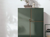 Madia Verticale Regolo R01 in laccato opaco bosco di Tomasella