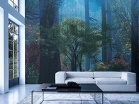 Carta da parati Foresta Incantata di Adriani e Rossi