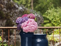 Vaso Cuoppo di Miniforms