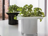 Vaso Cabaret in vetro di Adriani e Rossi