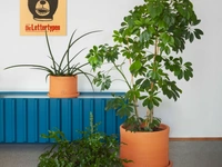 Vasi in argilla Vavavà di Miniforms