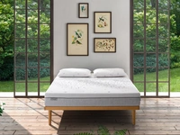 Materasso Greener di Dorsal