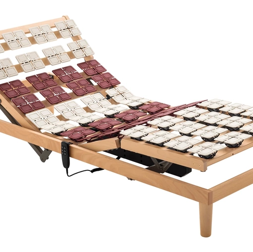 Rete Dama Motore testa piedi di Sogno Veneto