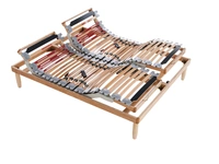 Rete motorizzata Galileo di Florentiabed