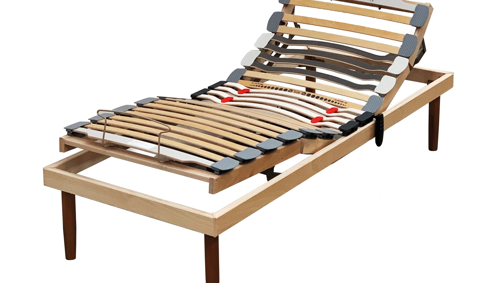 Rete motorizzata Petrarca Motore di Florentiabed