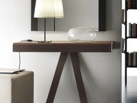 Mobile ingresso Delta di Ponti Terenghi