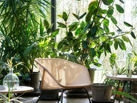 Poltroncina Colony Armchair di Miniforms