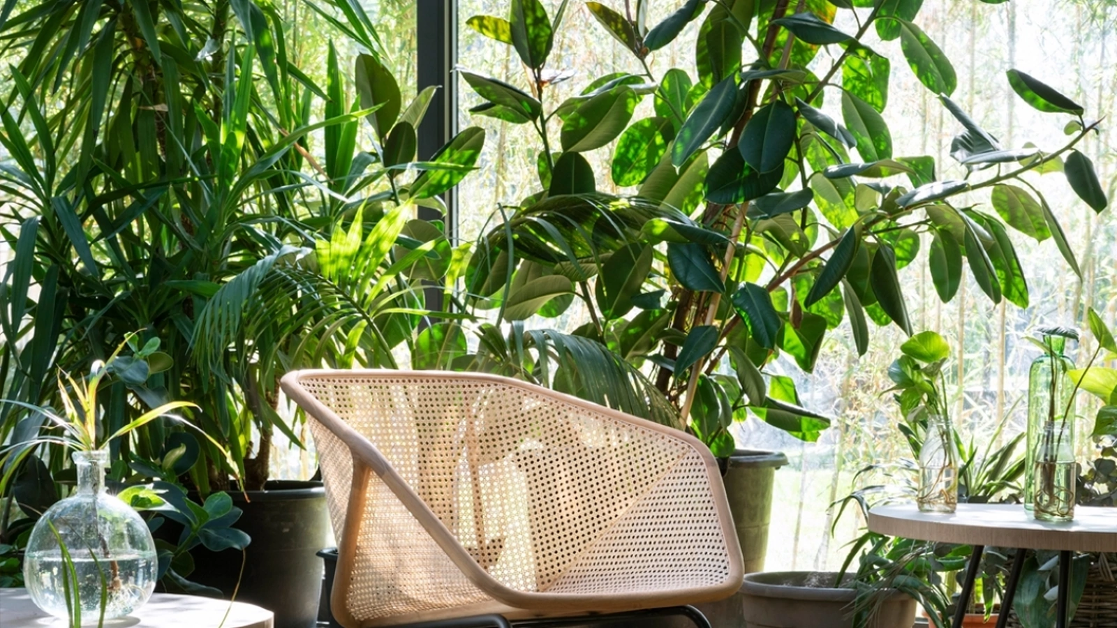 Poltroncina Colony Armchair di Miniforms