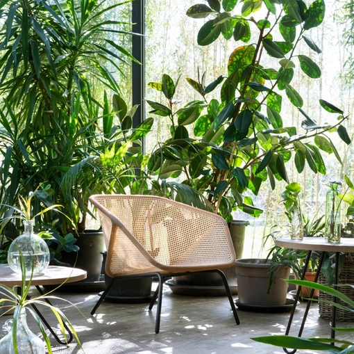 Poltroncina Colony Armchair di Miniforms