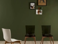 Sedia Aria Wood con seduta in polimerico e base in legno di Tonin Casa