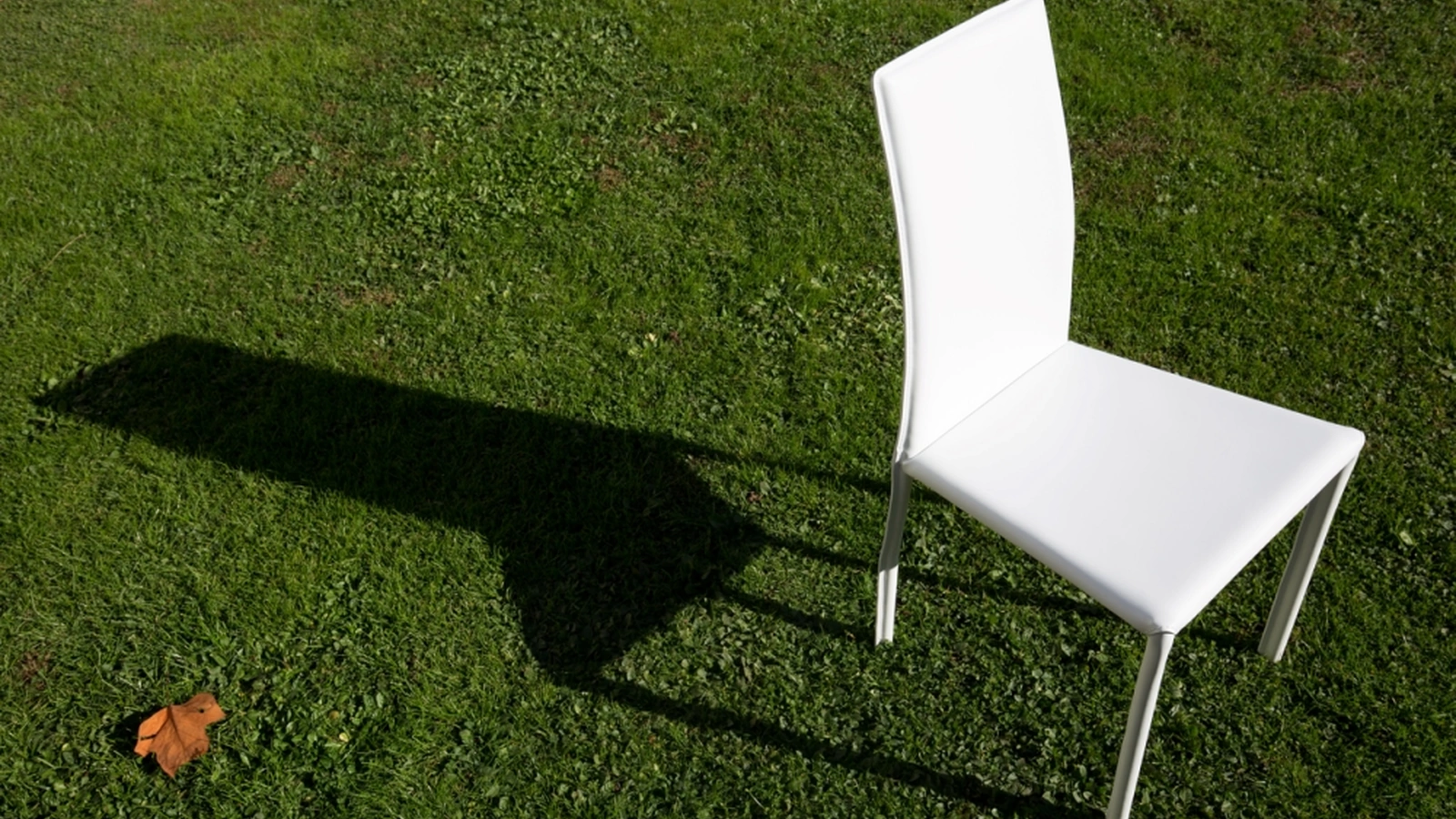 Sedia Maser di Trevisan Asolo