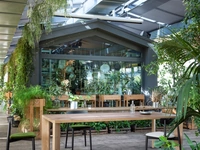 Tavolo Manero in legno di Rovere di Miniforms