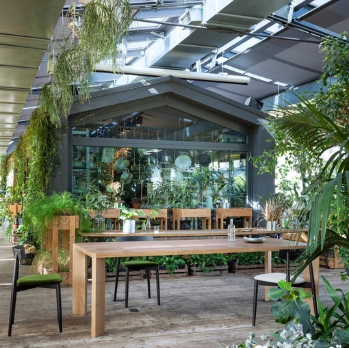 Tavolo Manero in legno di Rovere di Miniforms