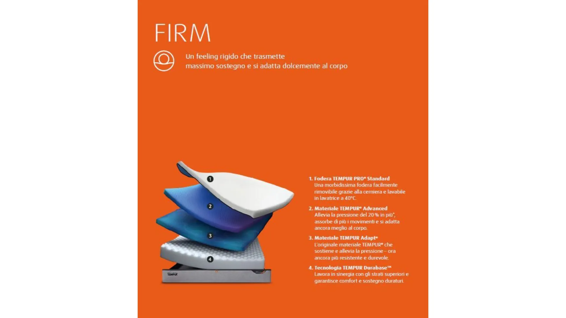 Scopri la PROMO LANCIO