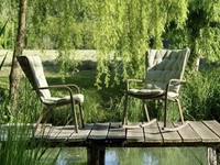 Poltroncina Folio a dondolo o con gambe in polipropilene con cuscini in tessuto imbottito di Sedie Brianza