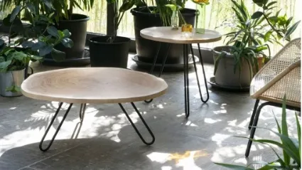 Tavolino con piano in tranciato di tronco Porcino di Miniforms