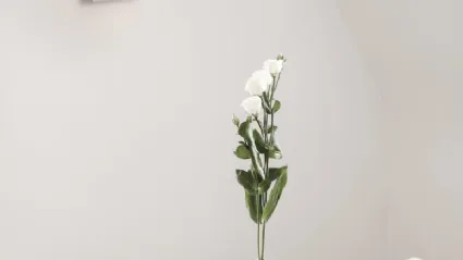 Lampada moderna da parete Volvit di Cattaneo