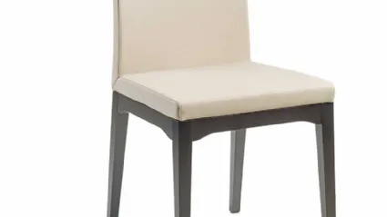 Sedia Meduna di Trevisan Asolo